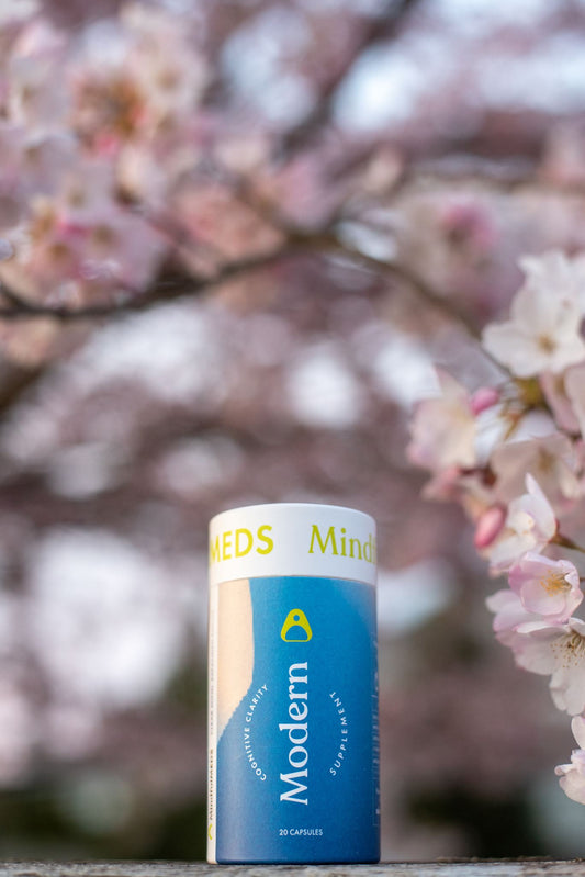 Modern (Nootropic 100mg)