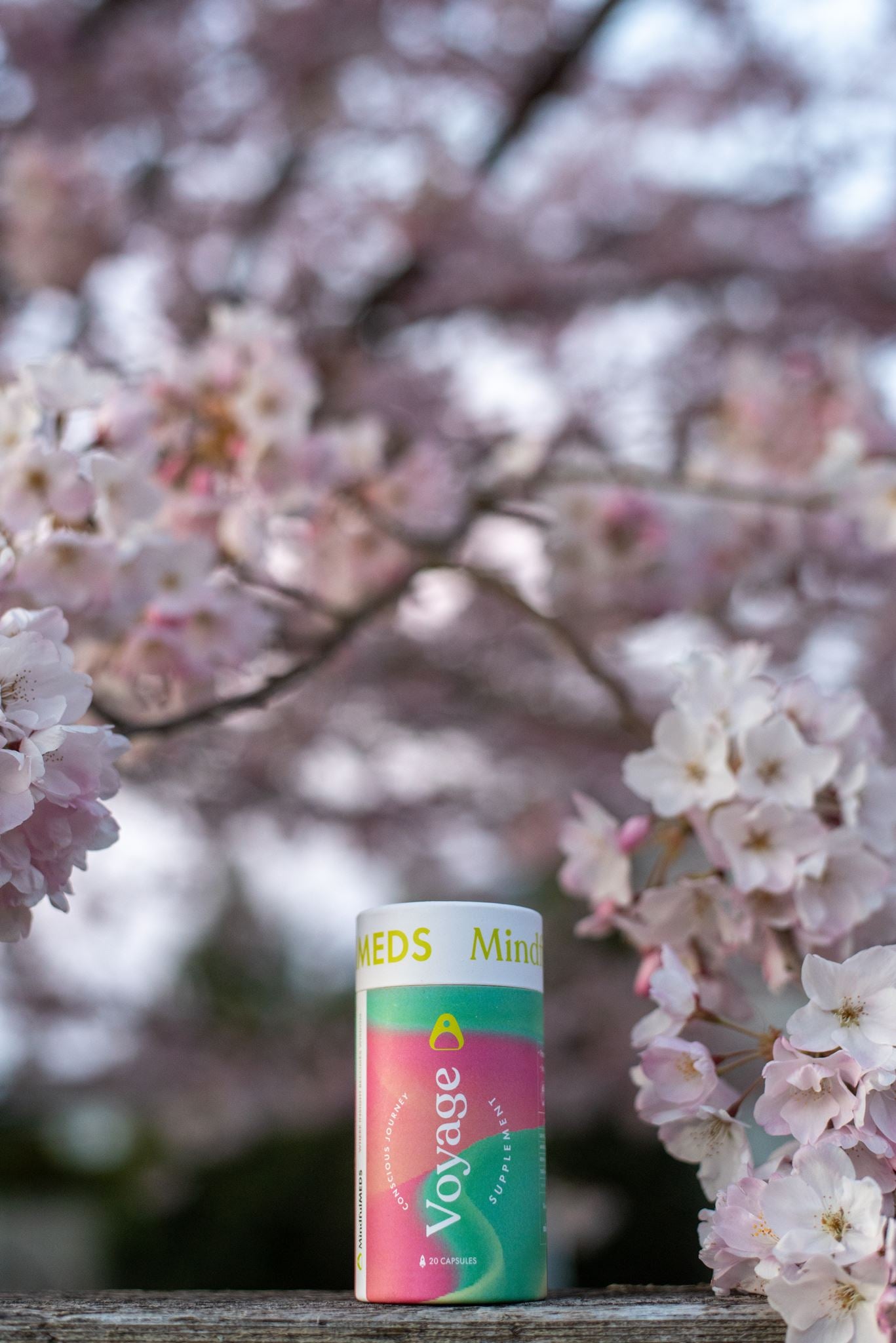 Voyage (Nootropic 350mg)