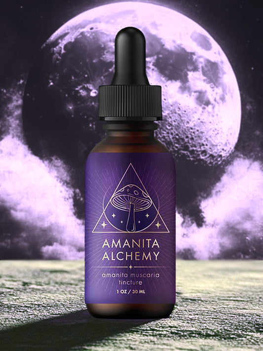 Amanita Alchemy
